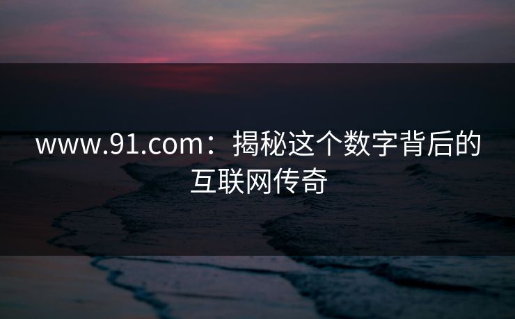 www.91.com：揭秘这个数字背后的互联网传奇  第1张