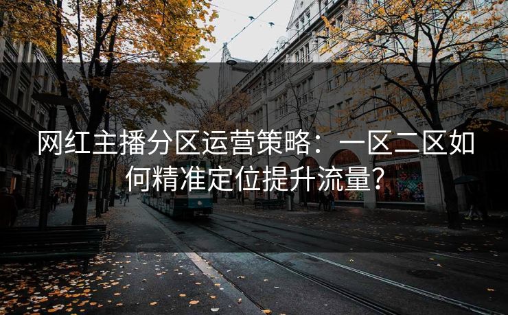 网红主播分区运营策略：一区二区如何精准定位提升流量？  第1张