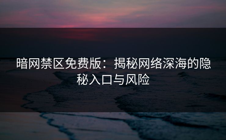 暗网禁区免费版：揭秘网络深海的隐秘入口与风险